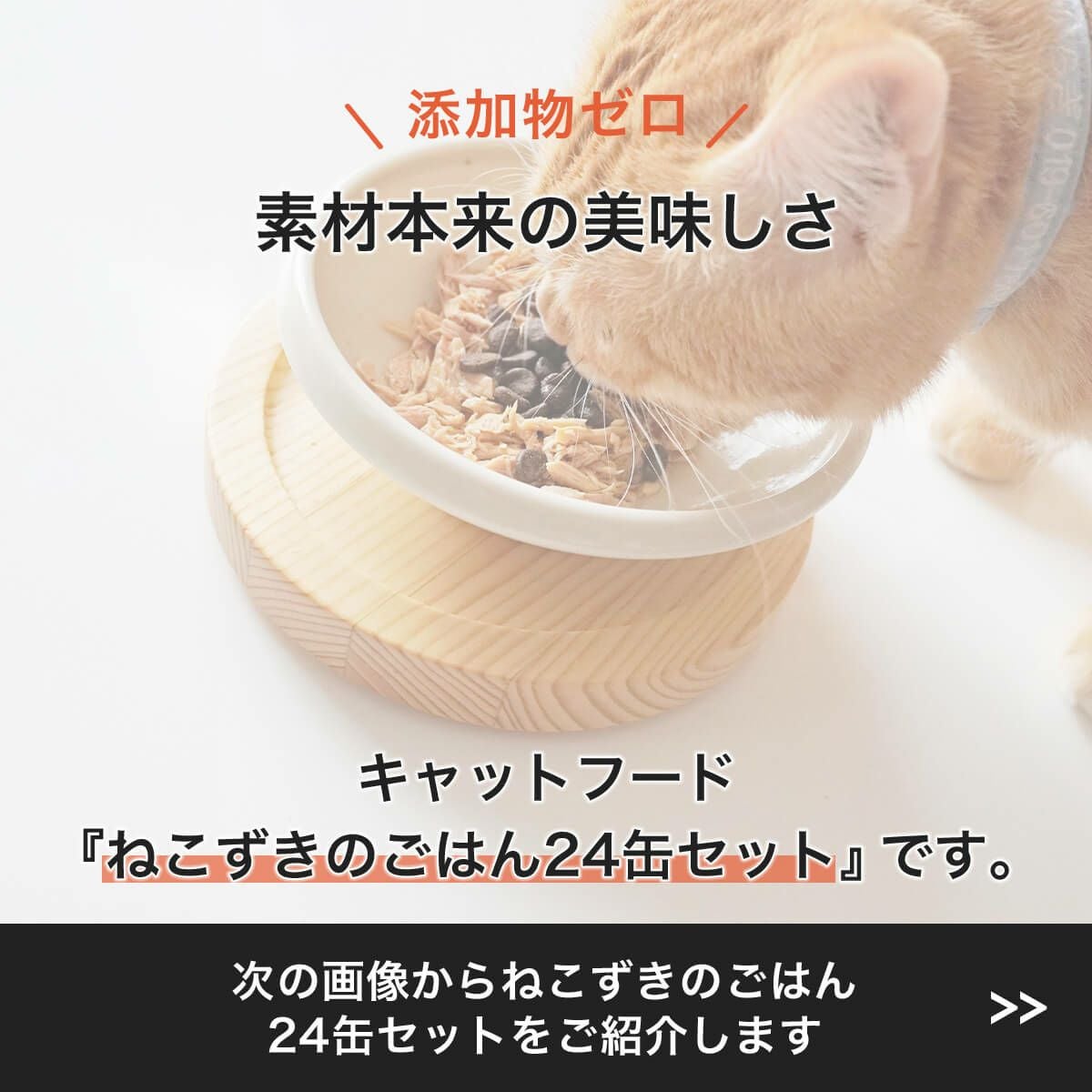 定期購入】猫 缶詰 ねこずきのごはん 80g×24個 キャットフード