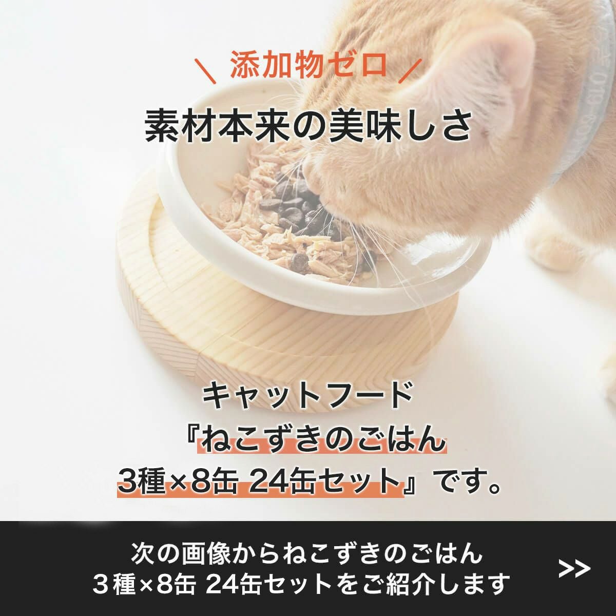 定期購入】猫 缶詰 ねこずきのごはん 80g×24個 キャットフード