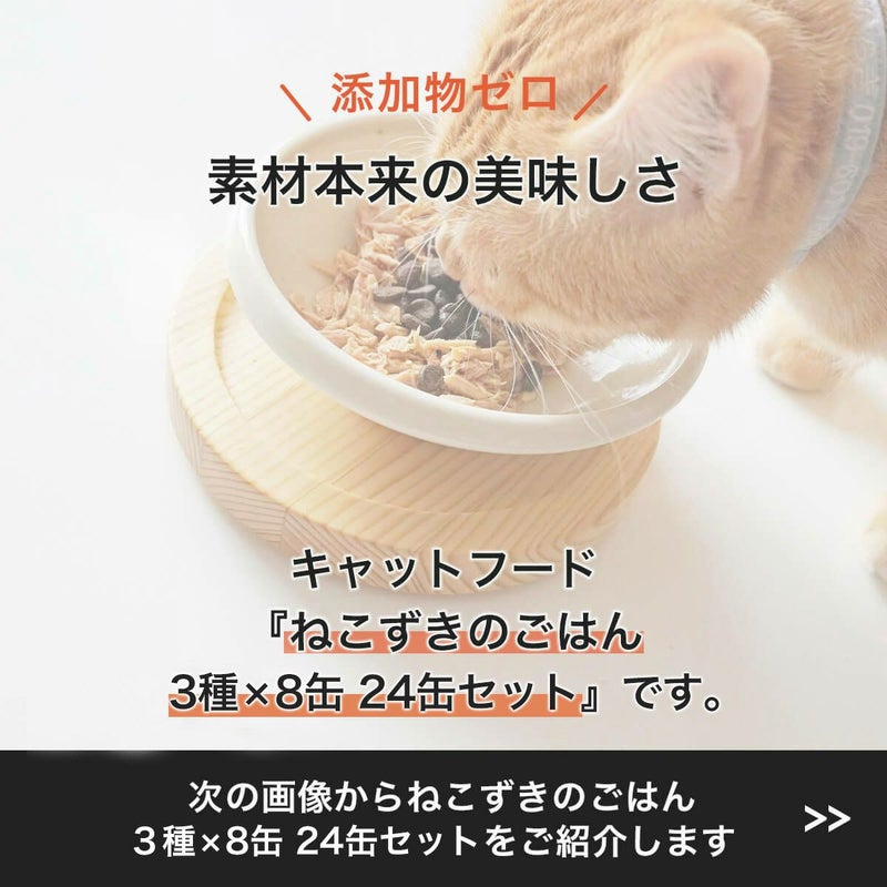 無添加のウェットフードねこずきのごはん