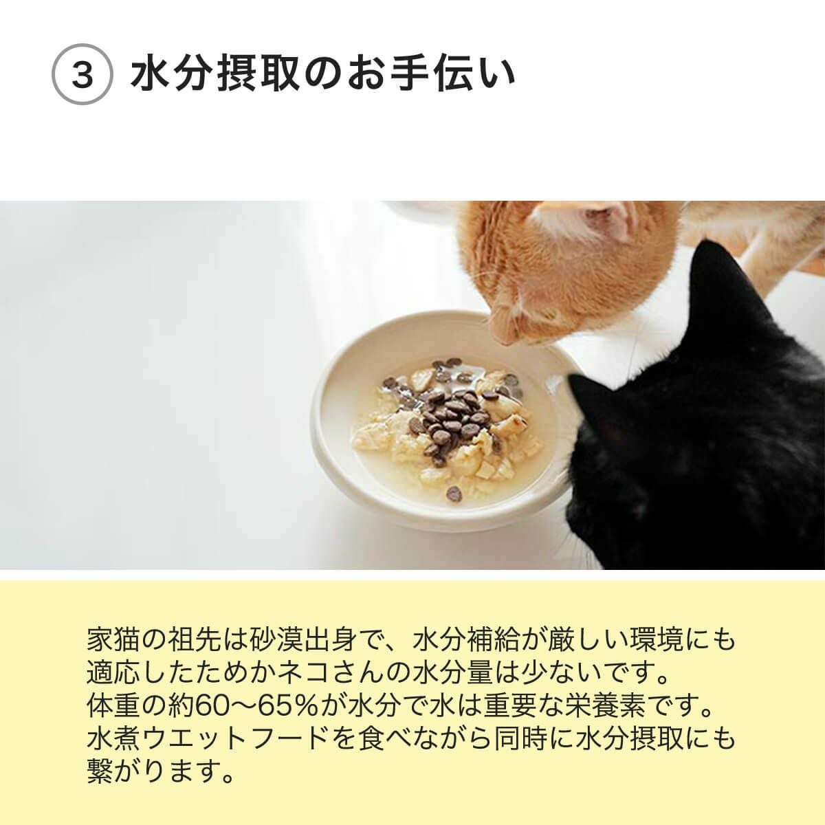 定期購入】猫 缶詰 ねこずきのごはん 80g×24個 キャットフード