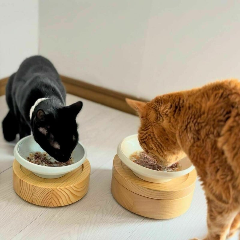 無添加のウェットフードねこずきのごはん