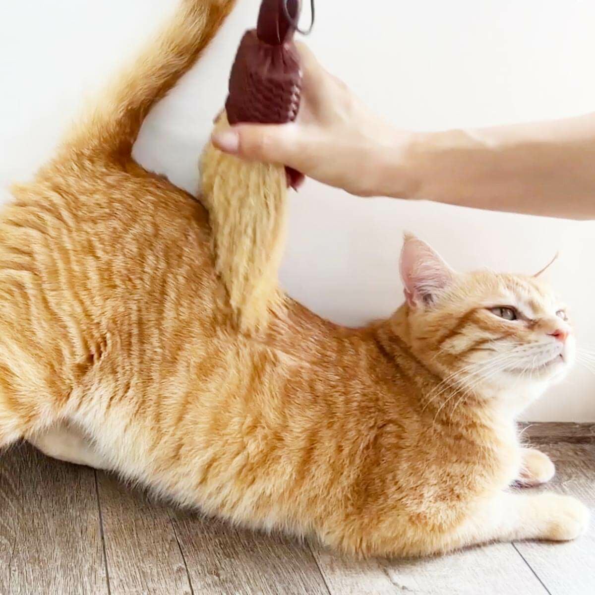 無農薬のホウキだからネコが舐めても安心。猫用ブラシなでねこ