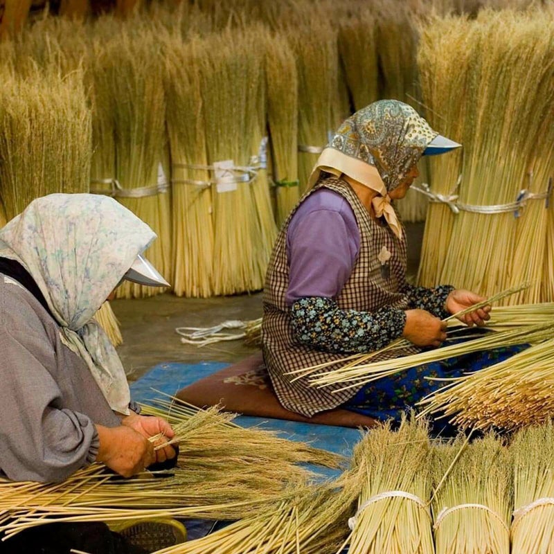 無農薬のホウキだからネコが舐めても安心。猫用ブラシなでねこ