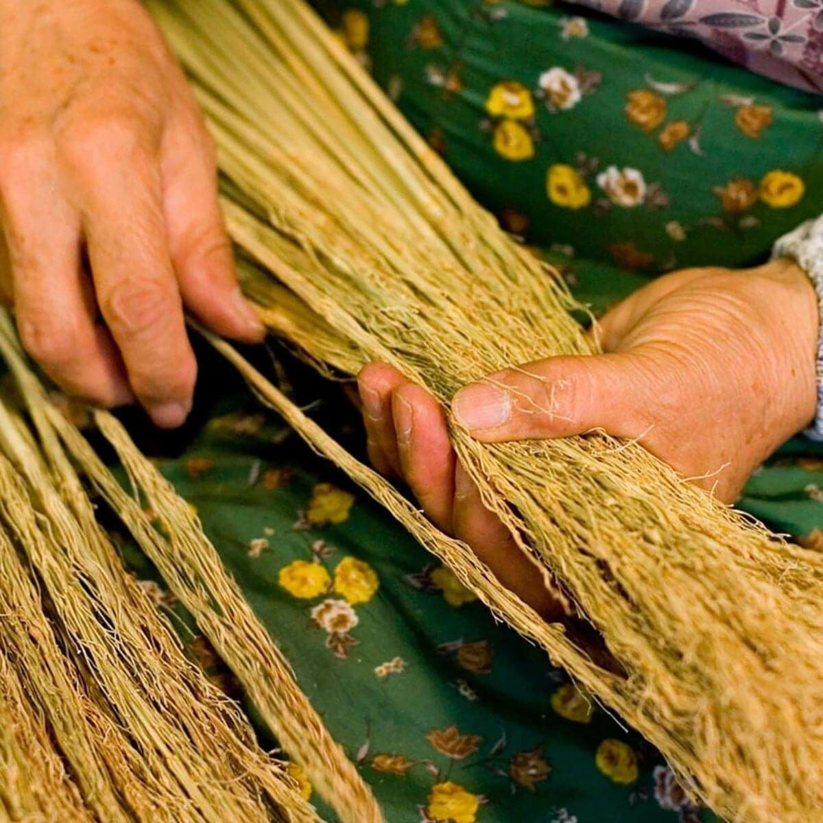 無農薬のホウキだからネコが舐めても安心。猫用ブラシなでねこ