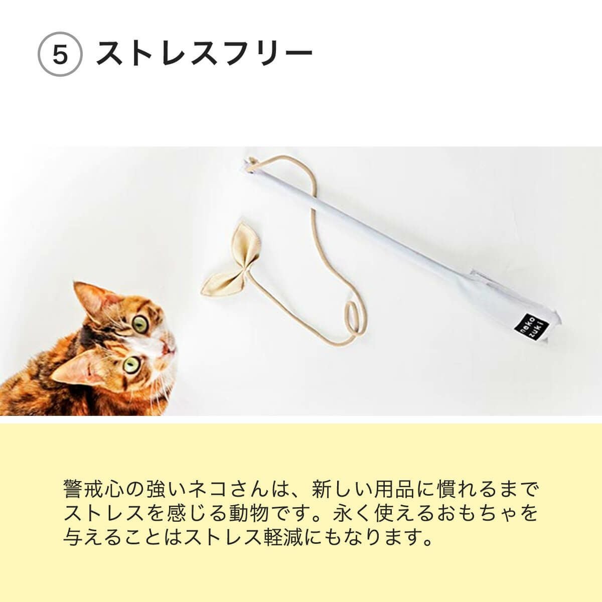 テレビで紹介】猫おもちゃのじゃらし たのしんぼう＋。好きなおもちゃ