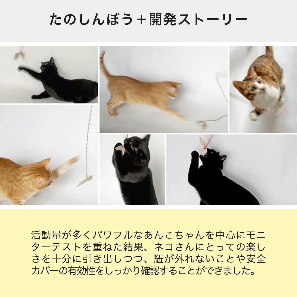 テレビで紹介】猫おもちゃのじゃらし たのしんぼう＋。好きなおもちゃ