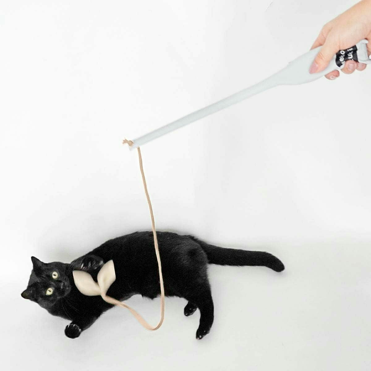 テレビで紹介】猫おもちゃのじゃらし たのしんぼう＋。好きなおもちゃ