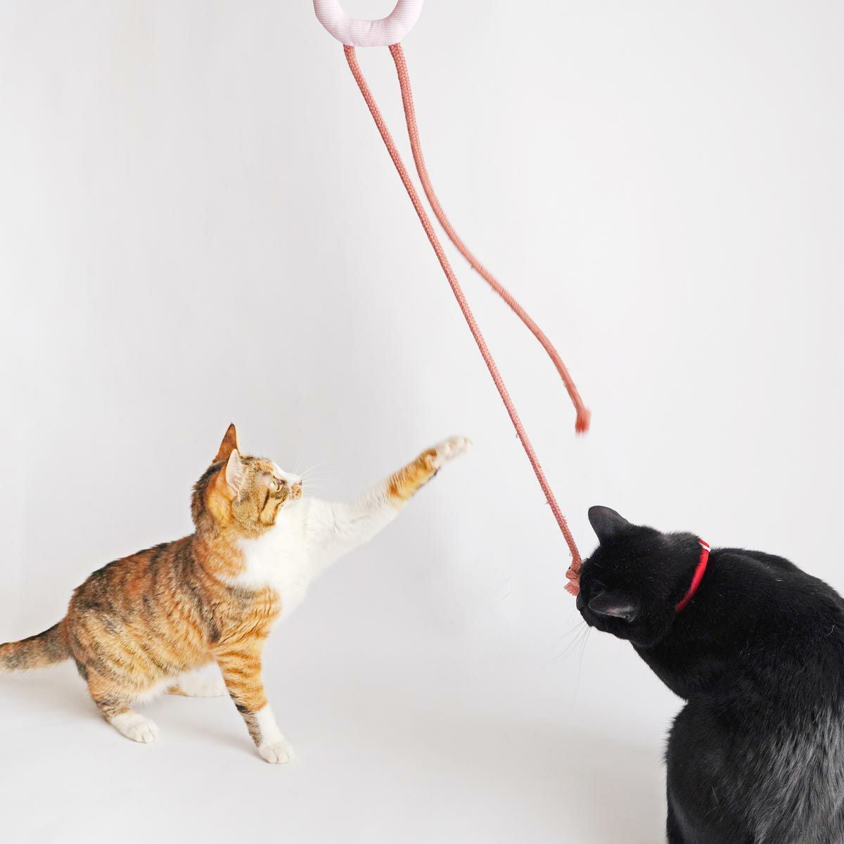ねこずき三ツ星おもちゃ3点セット・ねずみ篇 | nekozuki（ねこずき）猫