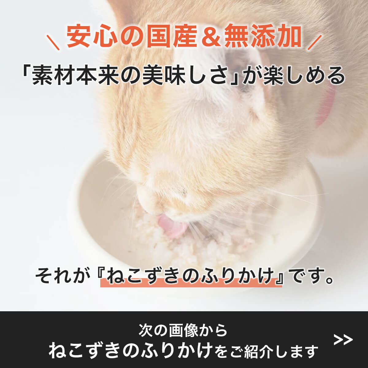 猫のふりかけ 国産 無添加 ねこずきのふりかけ 遠野鹿 37g トッピング