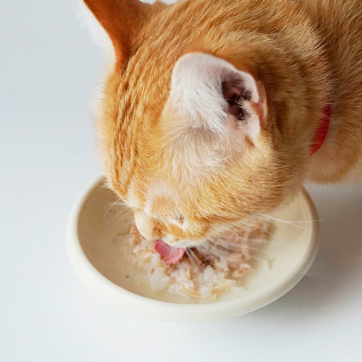猫のふりかけ 国産 無添加 ねこずきのふりかけ 遠野鹿 37g トッピング