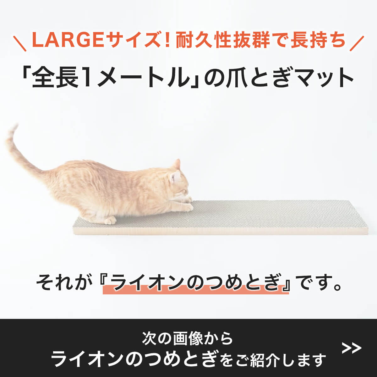 テレビで紹介】数量限定！大きな猫の爪とぎダンボール。ライオンの爪とぎ