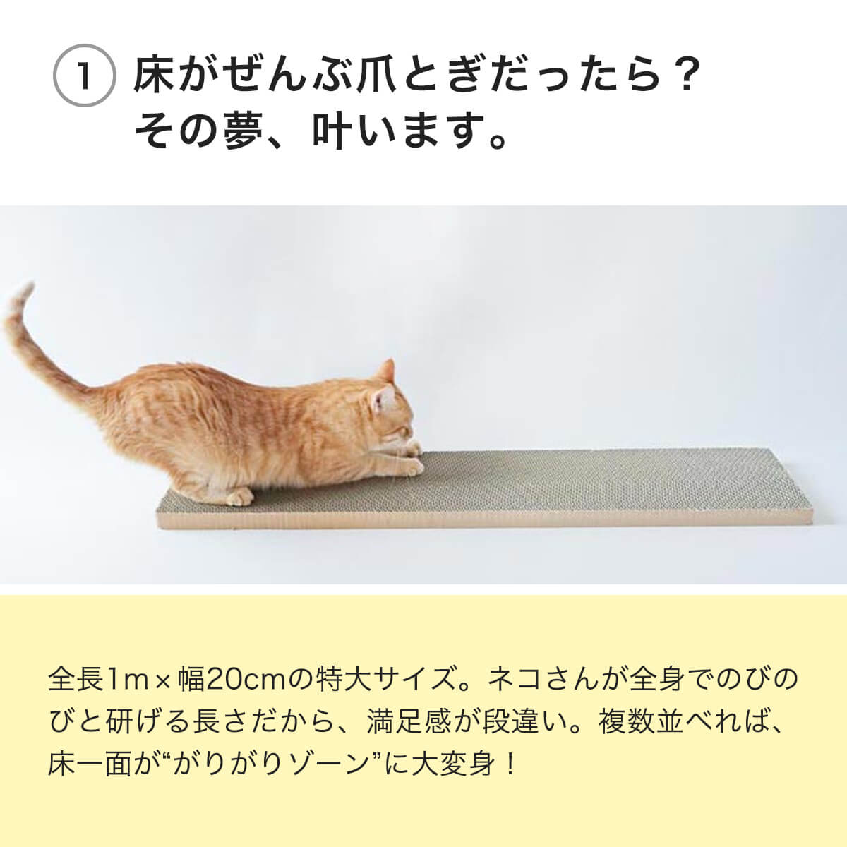 テレビで紹介】数量限定！大きな猫の爪とぎダンボール。ライオンの爪とぎ