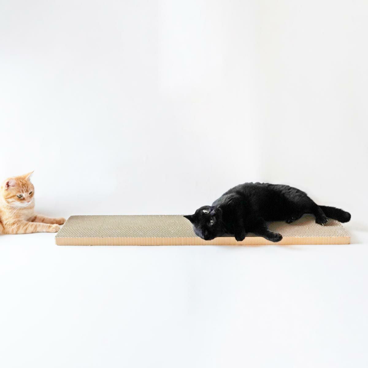 テレビで紹介】数量限定！大きな猫の爪とぎダンボール。ライオンの爪とぎ