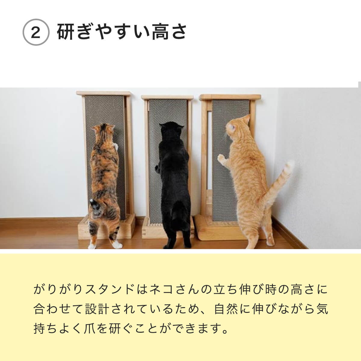 猫用縦型爪とぎ がりがりスタンド｜倒れない安定感＆背伸び対応／岩谷