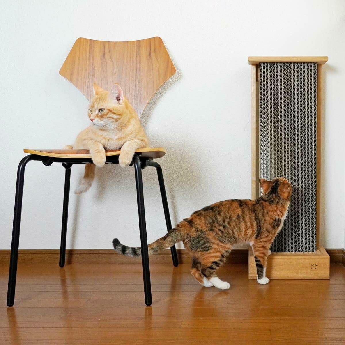 猫用縦型爪とぎ がりがりスタンド｜倒れない安定感＆背伸び対応／岩谷