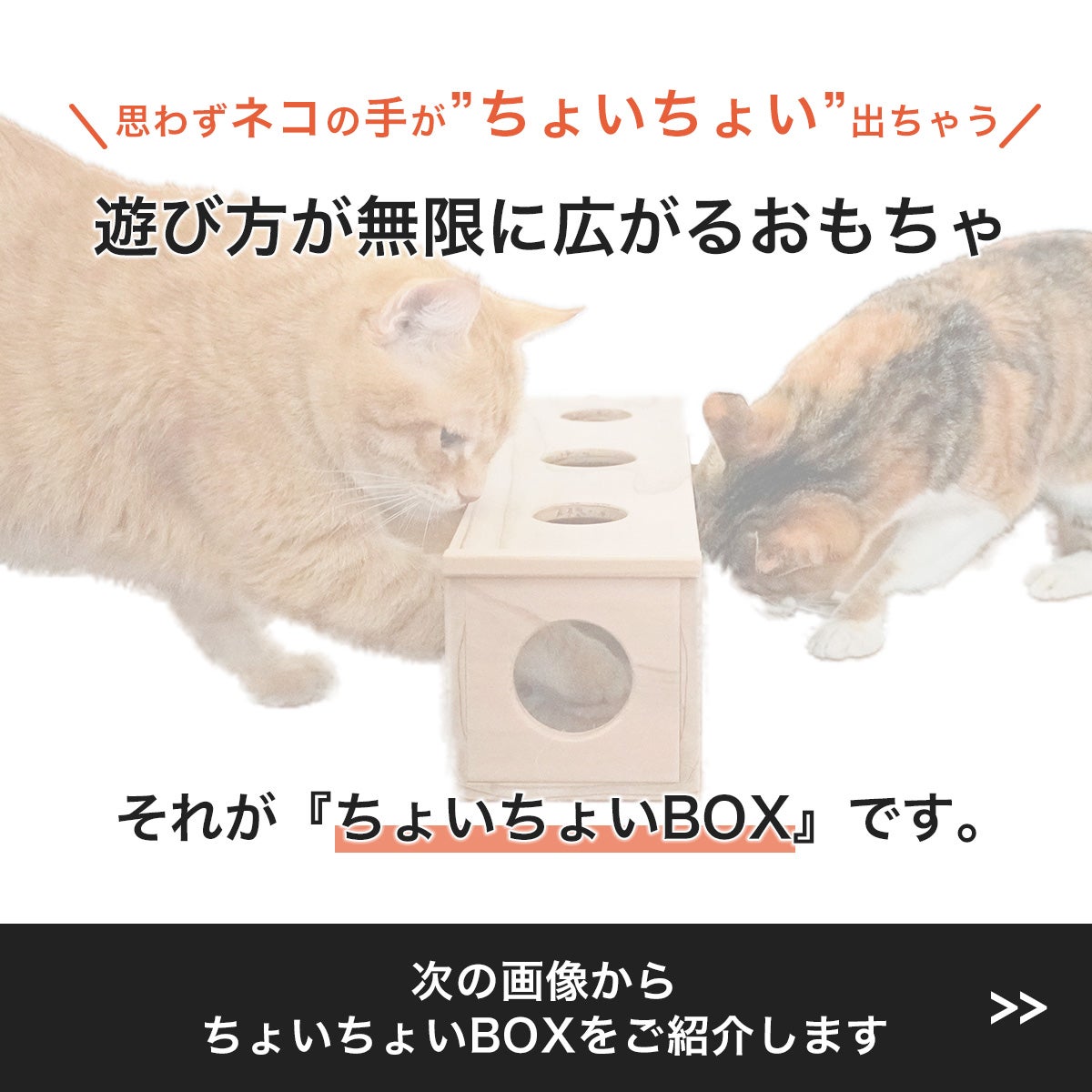 猫おもちゃ ちょいちょいBOX | nekozuki（ねこずき）猫用品の販売