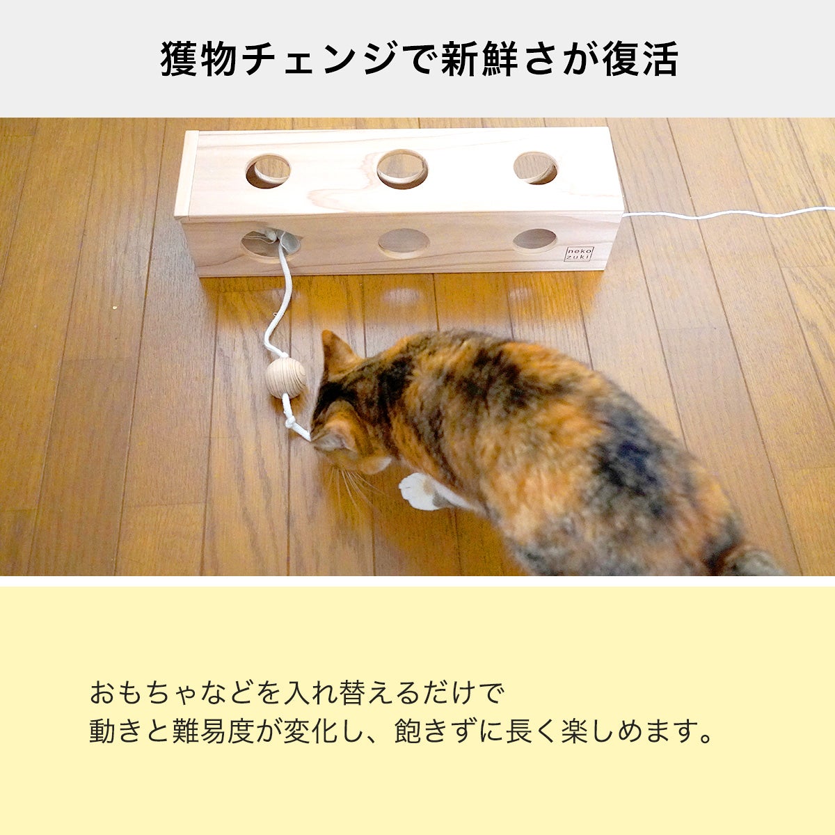 猫おもちゃ ちょいちょいBOX | nekozuki（ねこずき）猫用品の販売