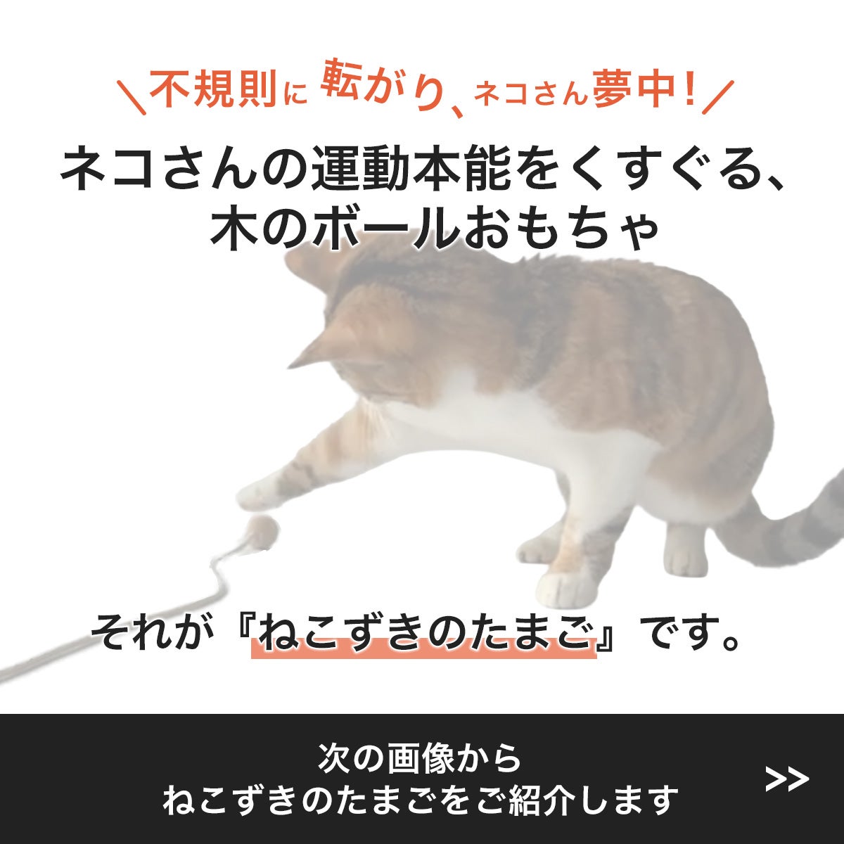 猫の運動不足解消を楽しく解消！無添加・木製ボールおもちゃ ねこずき