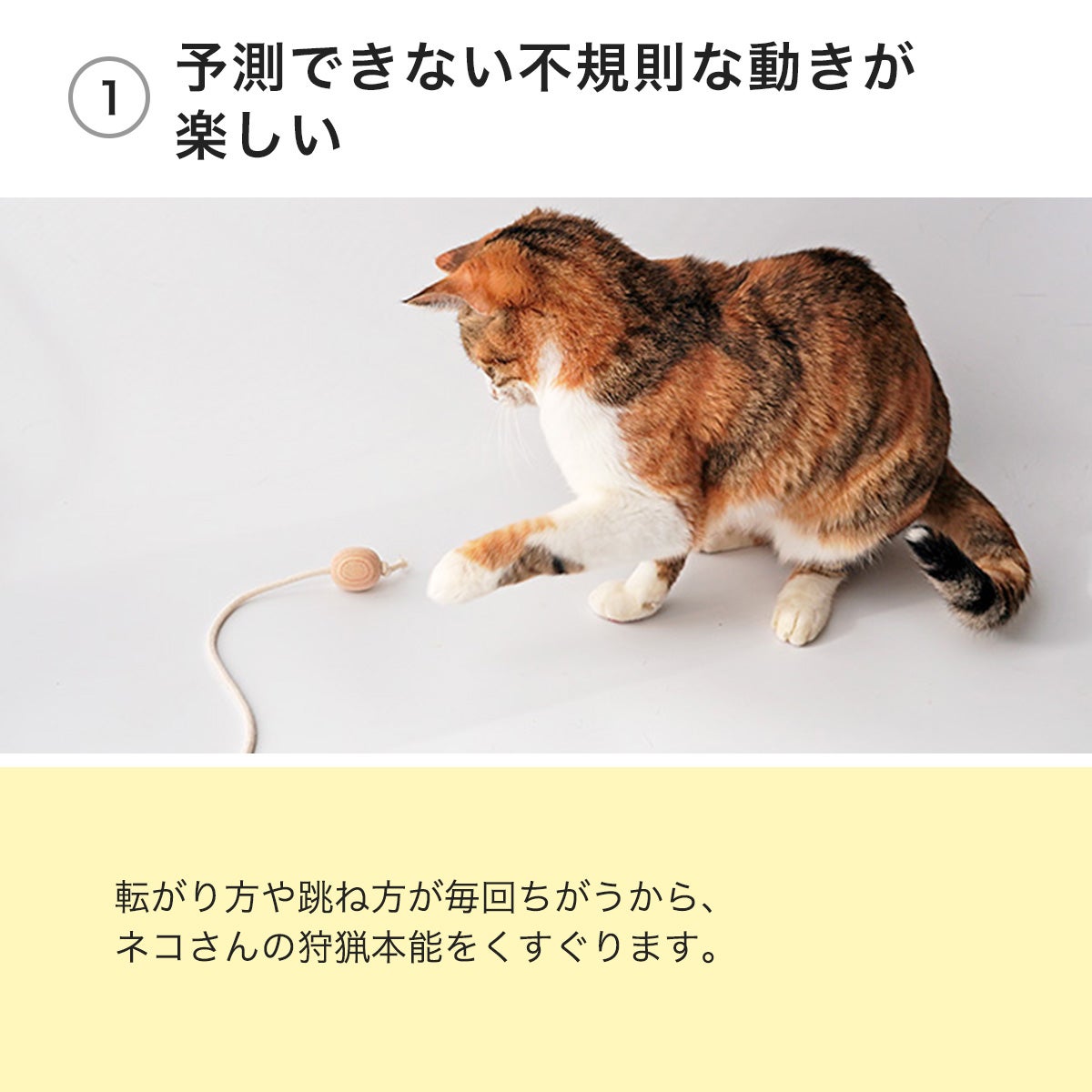 000000002467-10.jpg?size=l&w=