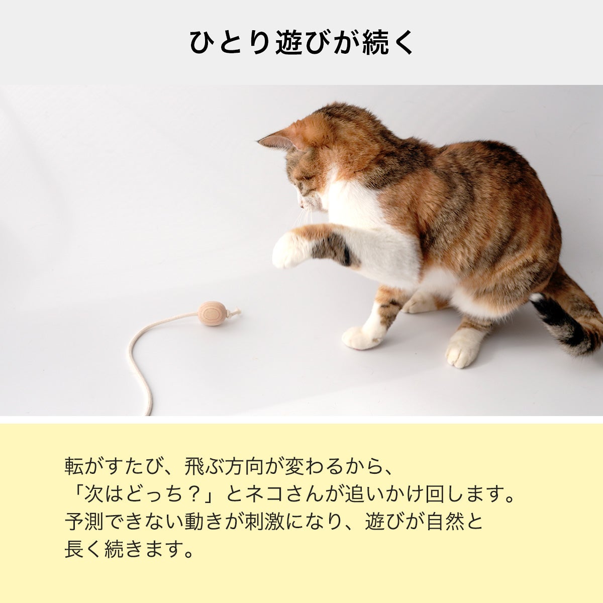 猫の運動不足解消を楽しく解消！無添加・木製ボールおもちゃ ねこずき