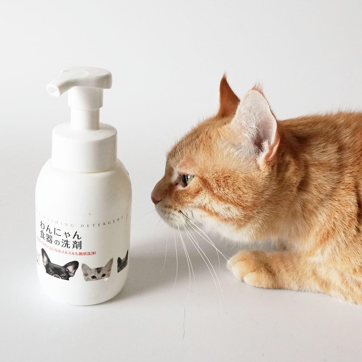 わんにゃん食器の洗剤 ポンプボトル 300ml